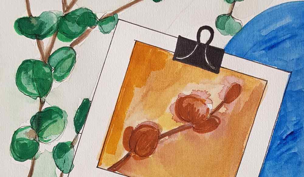 Дисплазия шейки матки, эрозия и ВПЧ