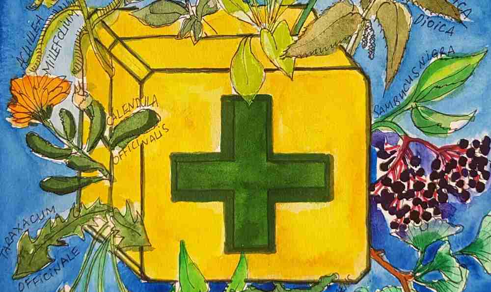 Домашняя аптечка от Kаtia Txi : Вебинар-презентация